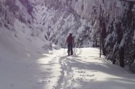 Ski de rando dans le Massif des écrins