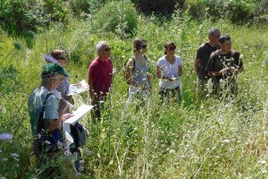 Sortie dans la nature en groupe avec les écologistes de l’Euzière