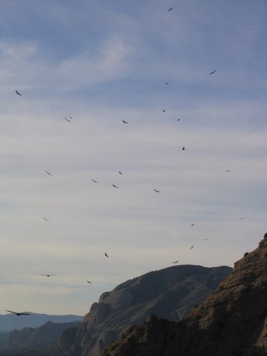 escalade aux Mallos de Riglos