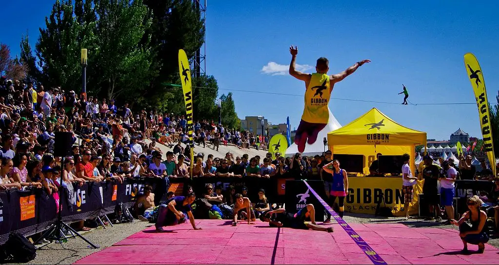 Stand Gibbon au Fise 2013