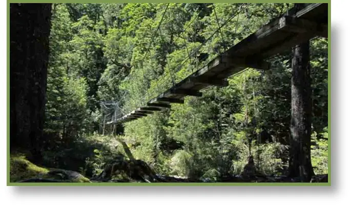 passerelle au Parc National du Mont Aspiring en Nouvelle Zélande