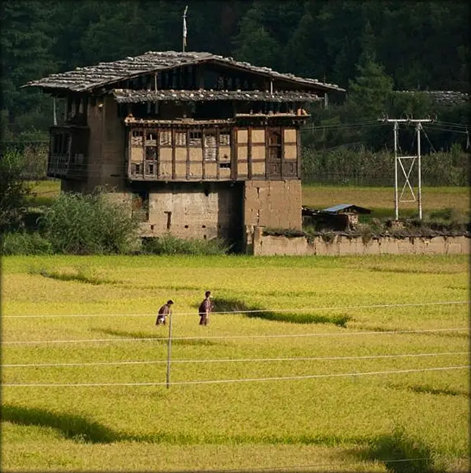 Champ de culture au Bhoutan