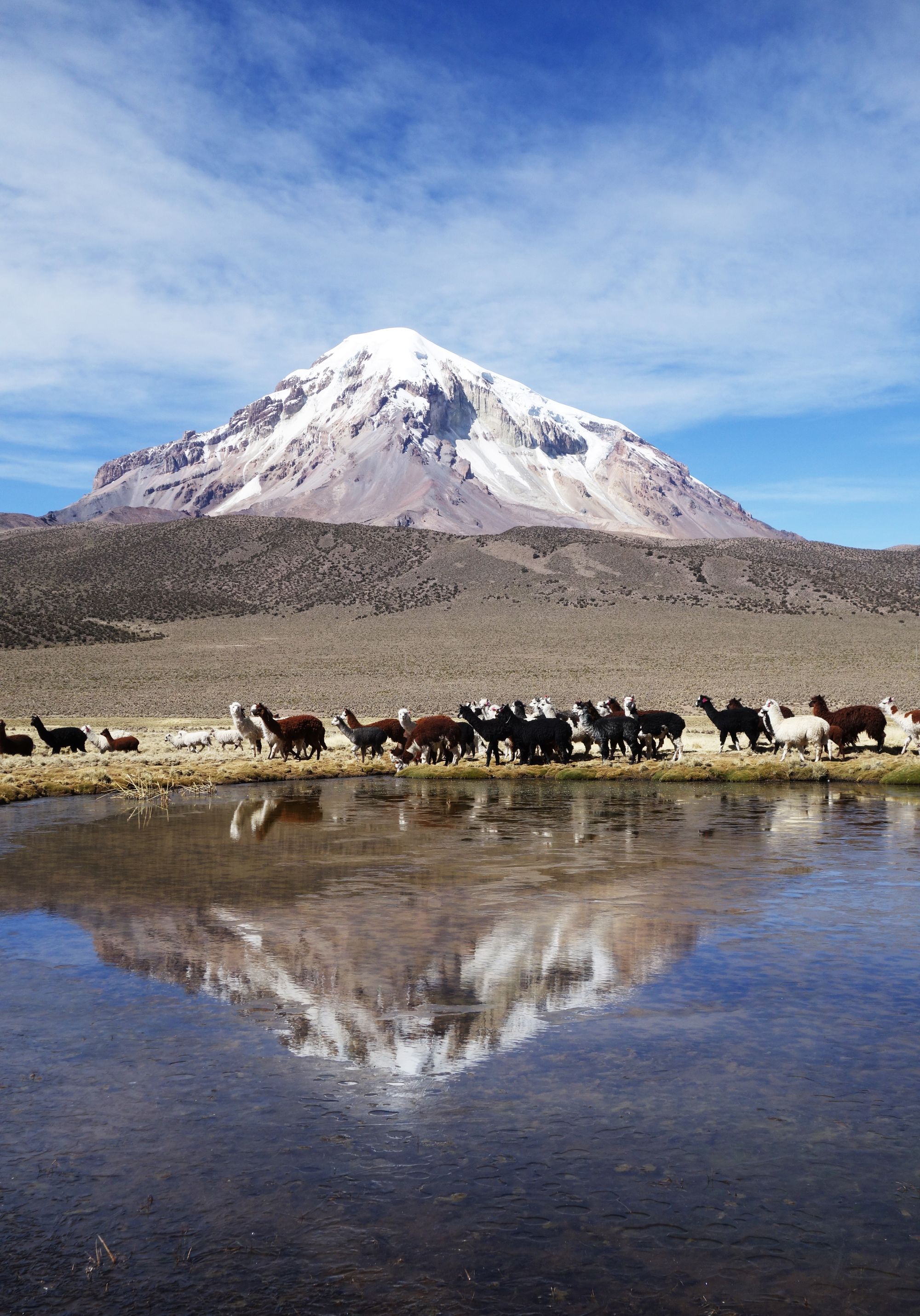Le Nevado Sajama en Bolivie
