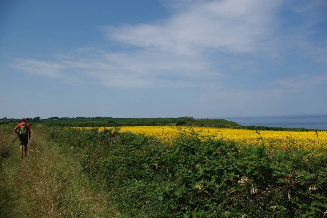 Sentier entre ciel et mer en Bretagne