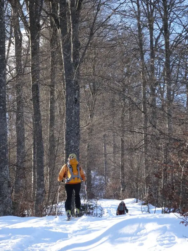 ski de randonnée à Campan de Payolle dans la fôret