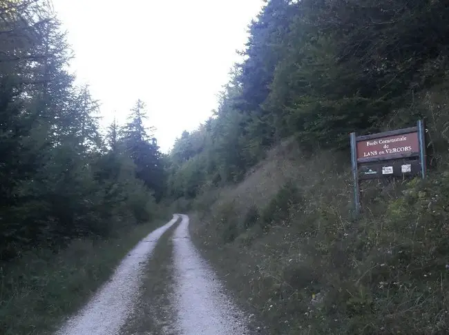 La piste de la forêt communale de Lans en Vercors