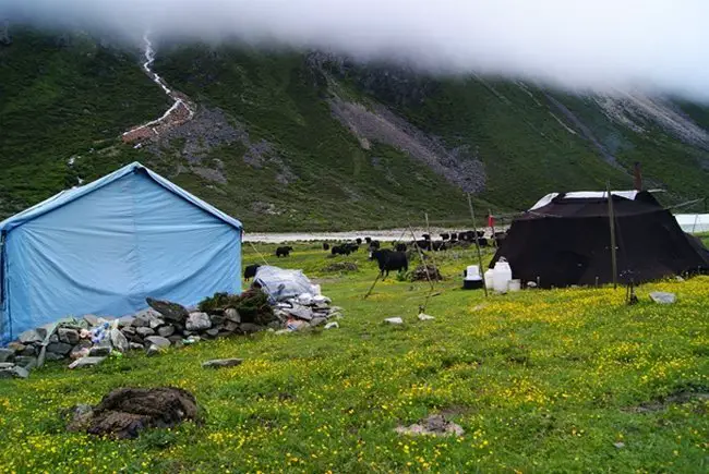 Le campement tibétain au Mont Gongga en Chine