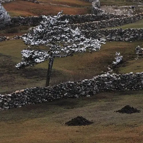 Trek dans un paysage de neige au Népal lors de l