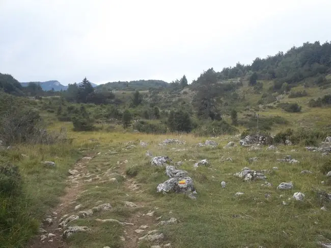 Chemin encombré de pierres sur la route de la grande traversée du Vercors