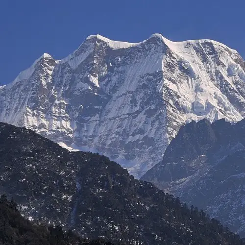 Trek du mera approche dans les rhododendrons au Nepal lors de l