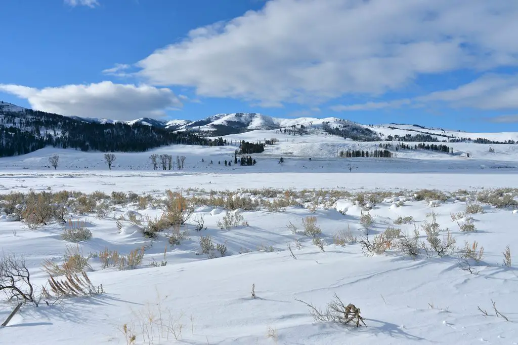 Vaste paysage lors de mon voyage aux Etats-Unis