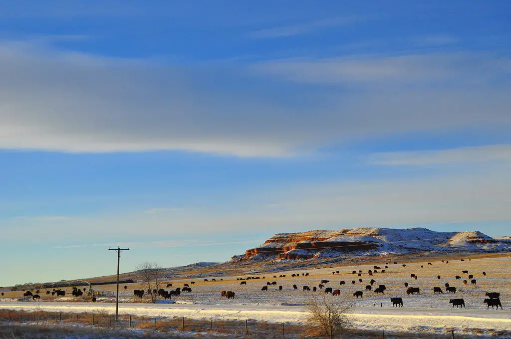 Paysage typique de notre voyage aux Etats-Unis