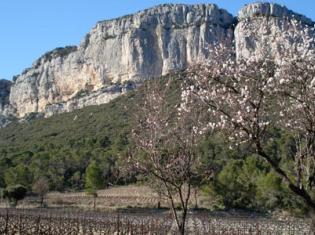 Site d'escalade de Valflaunès dans l'Hérault