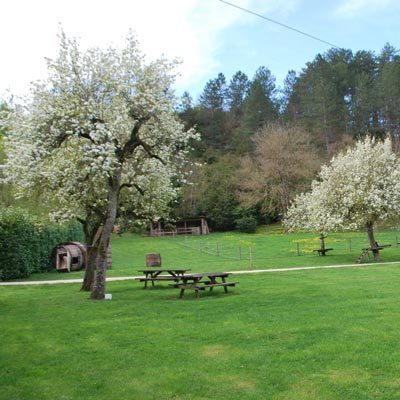 aire de pique-nique du accrobranche Du Haut des Arbres