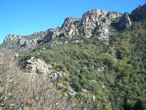 Site d'escalade Le Caroux dans l'Hérault