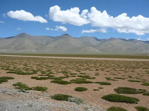 paysage valloné dans le Ladakh en Inde tout en étant désertique