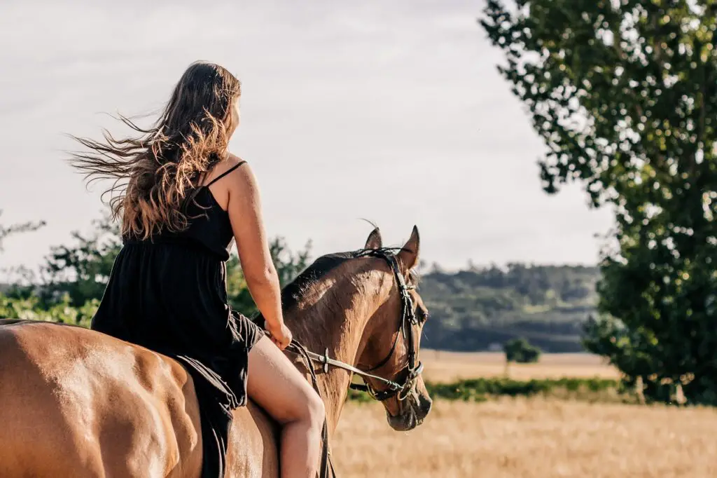 Ballade à cheval (équestre) en Alberta