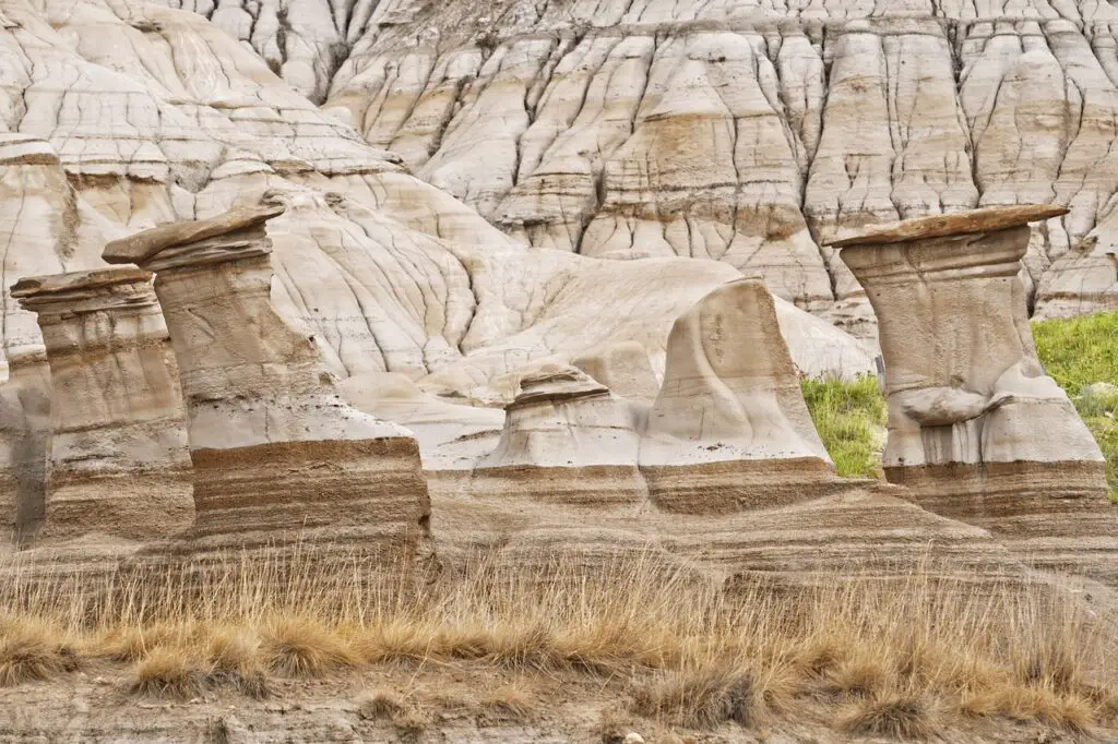 Des badlands d'Alberta pour une randonnée équestre