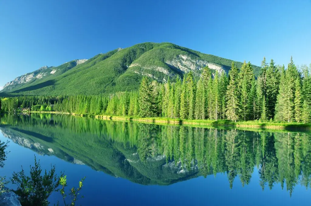 Le parc national de banff pour une randonnée équestre