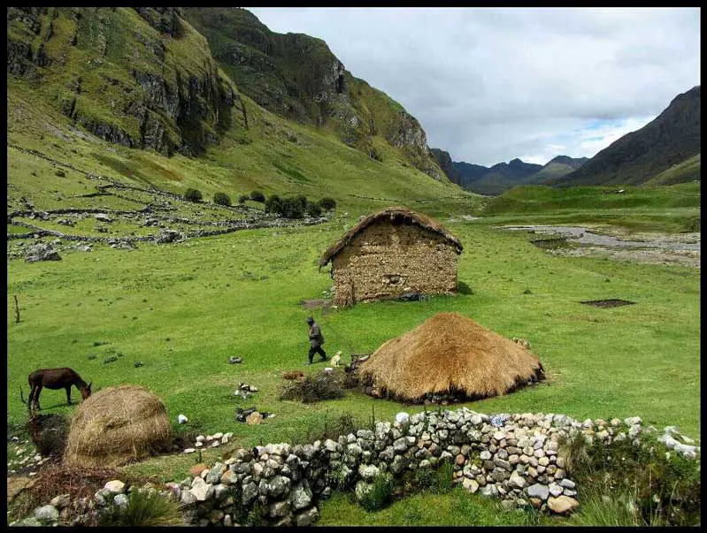 prairie dans la Cordillère Huayhuash au Pérou