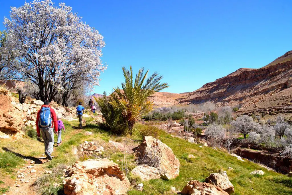 Randonnée dans le moyen-atlas au Maroc avec des enfants