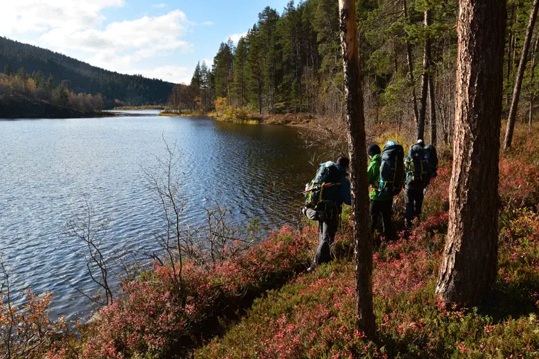 Derniers kilomètres sur le sentier trek en Laponie