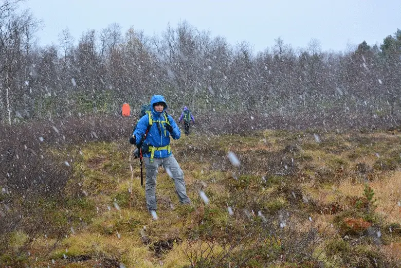 Il neige ! trek en Laponie