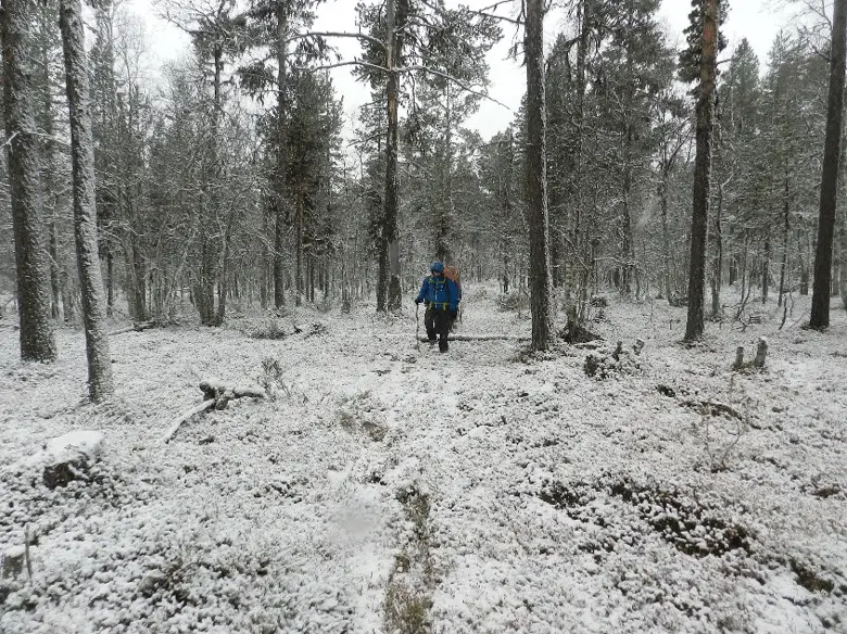 L’hiver est là, tout est blanc trek en Laponie