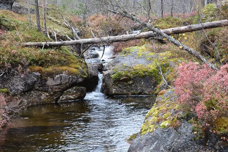 Petit affluent d’Ivalojoki trek en Laponie