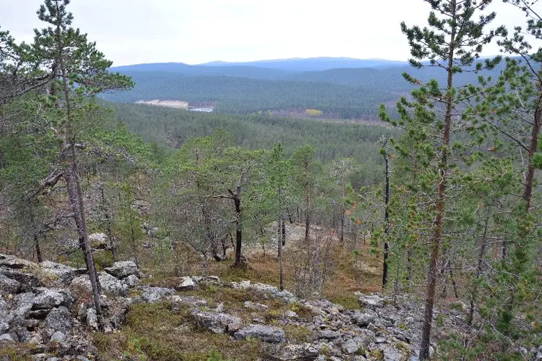 Vue dégagée sur la vallée du fleuve Ivalojoki trek en Laponie