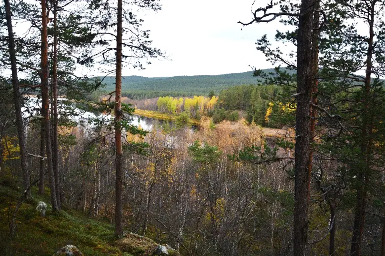 Dernier coup d’œil au fleuve Ivalojoki trek en Laponie