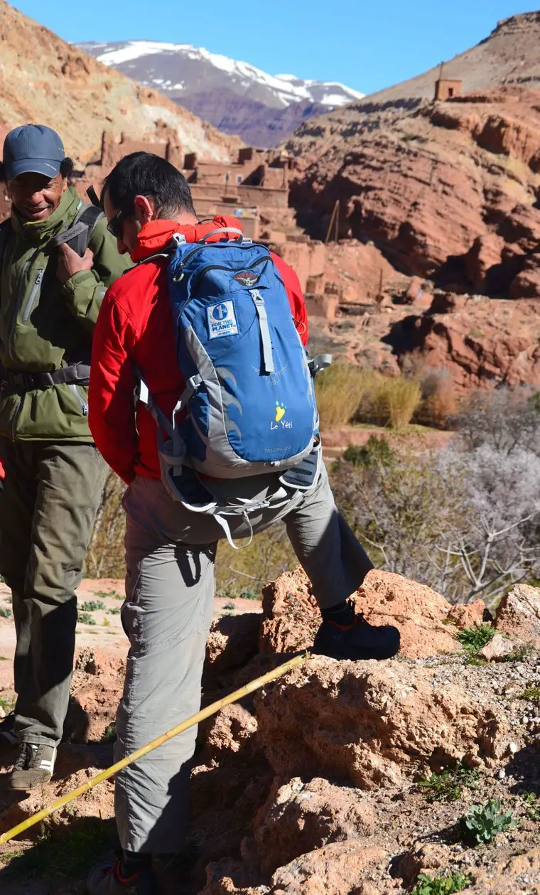 Le Yéti sur les montagnes du moyen Atlas au Maroc