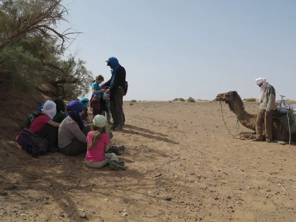 Pause cacahuète a l'ombre des Tamaris dans le désert au sud du Maroc