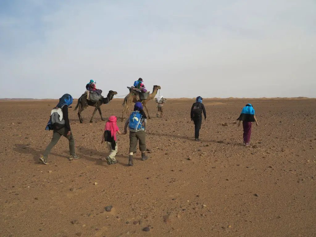 Randonnée en famille dans le désert du Maroc près de M'Hamid