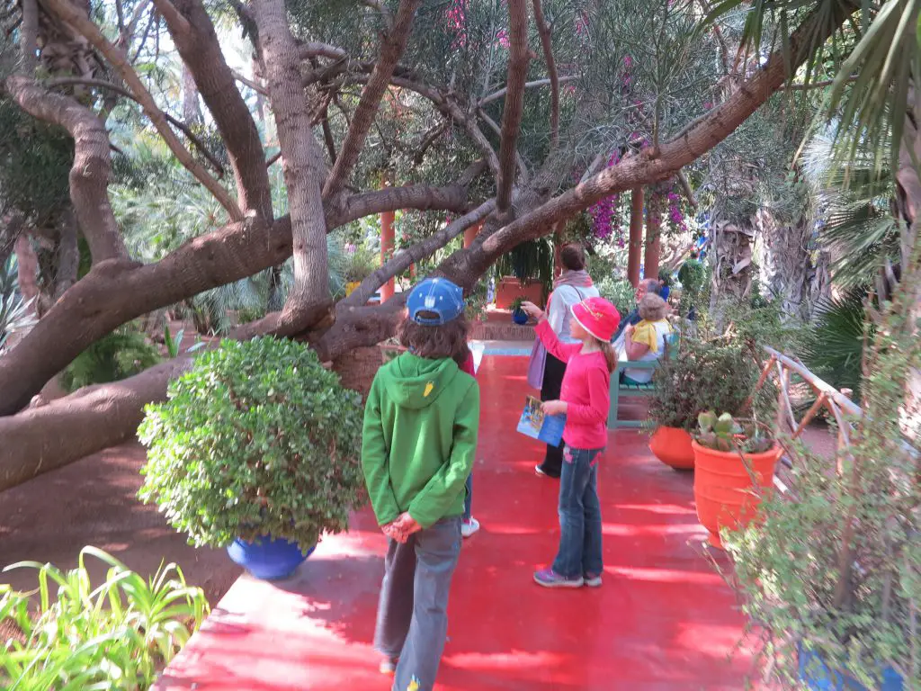 Visite des jardins Majorelles à Marrakech au Maroc