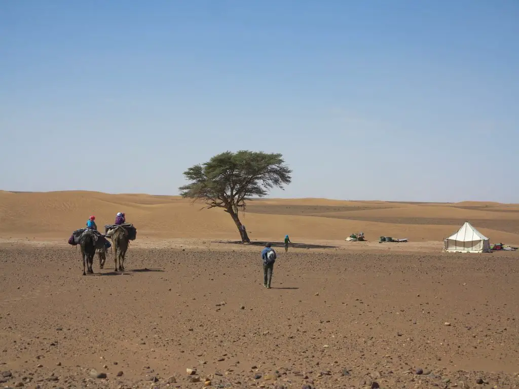arrivée à notre campement pour le repas du midi dans le désert au maroc