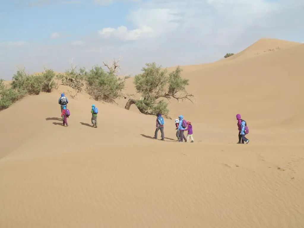 du sable, encore du sable et tujours du sable dans le désert au Maroc