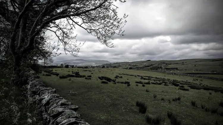 paysage sur le chemin en direction vers le Ben Nevis