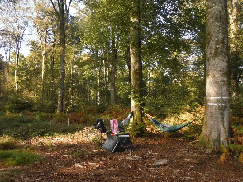 Dans la forêt de Crécy 