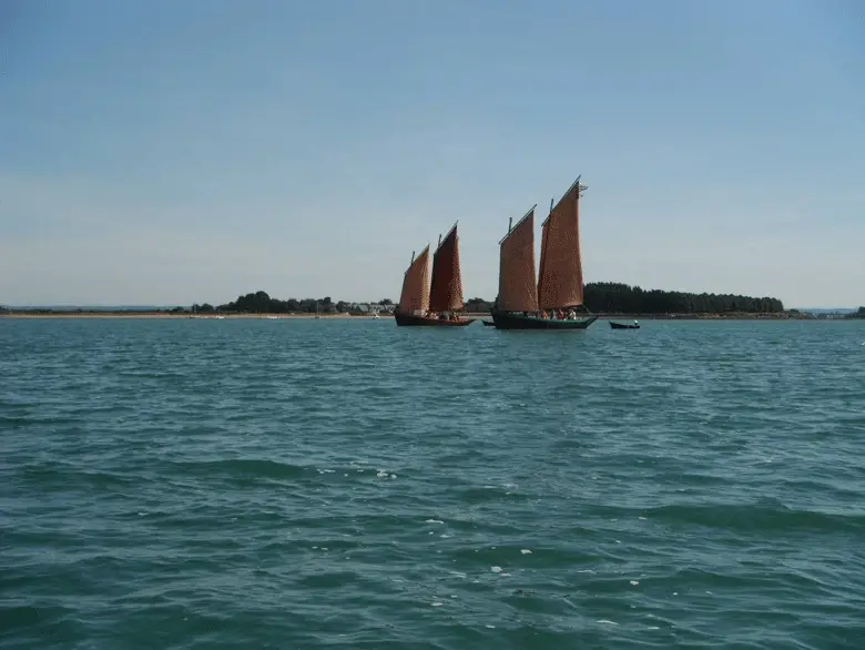 Les Sinagots, bateaux traditionnels qu’on trouve exclusivement dans le golfe... Ils ont fière allure !