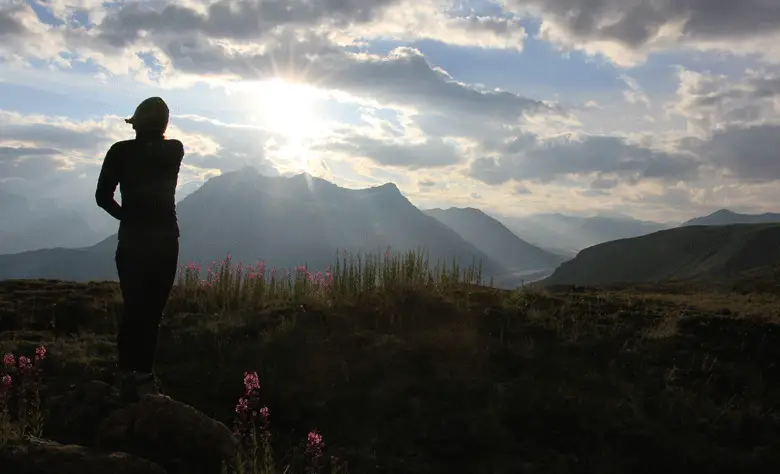 Un joli bivouac durant notre trekking en alaska