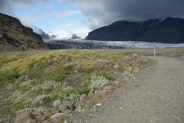  Illustration 15: Un bras du glacier Vatnajökull à Skaftafell.