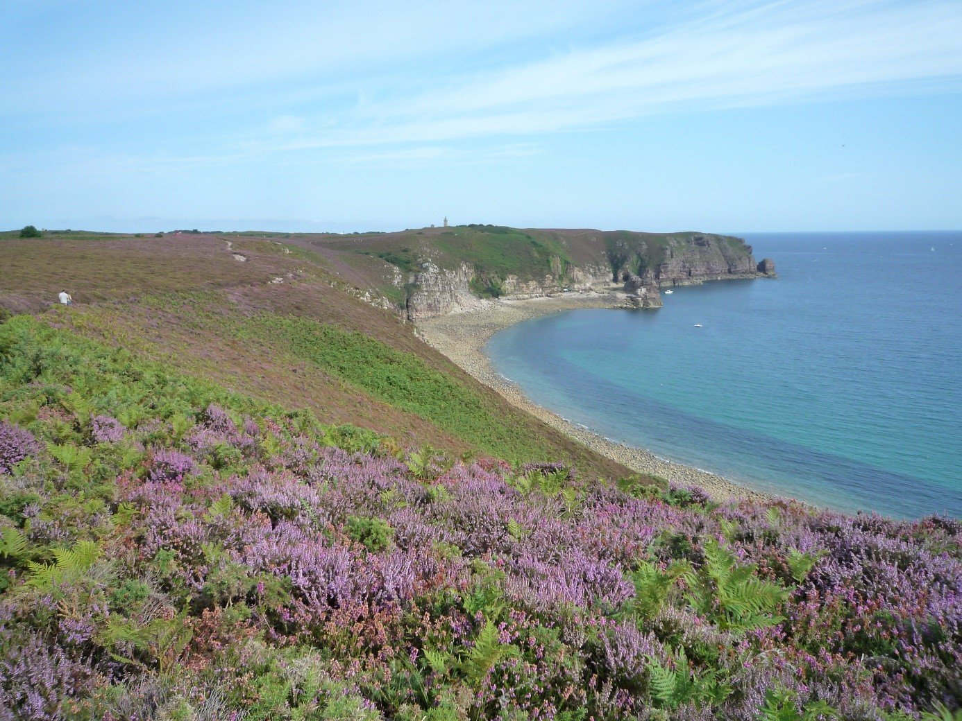 Le Cap Fréhel et ses landes colorées en terre bretonne