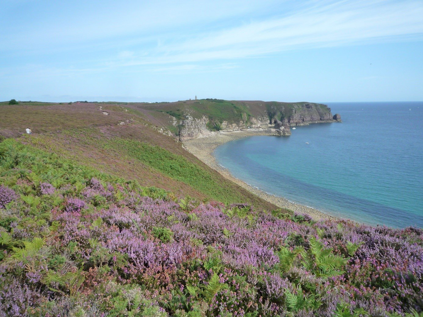 Le Cap Fréhel et ses landes colorées en terre bretonne