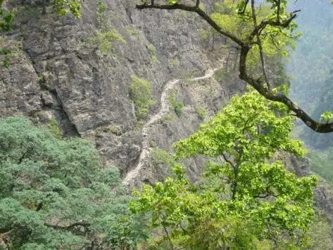 8 : Chemin en encorbellement et pont de singe pendant le trekking vers le Manaslu