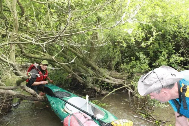 Passage entre les arbres des kayaks sur la descente de la chère