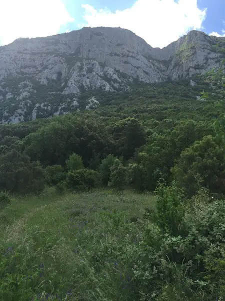 Face nord du pic saint loup