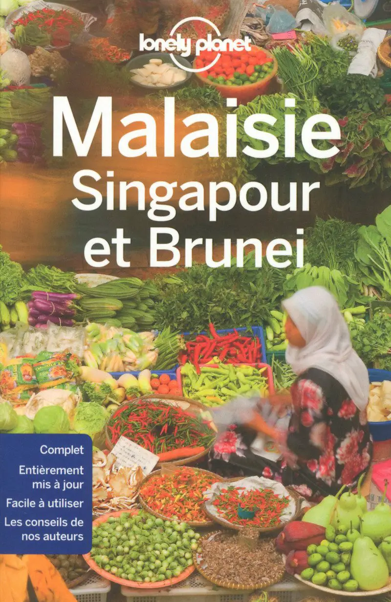 Guide de voyage Lonely Planet sur la Malaisie Singapour et Brunei