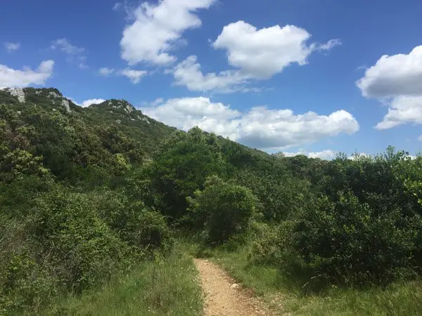 Sentier en direction du chateau de Montferrand