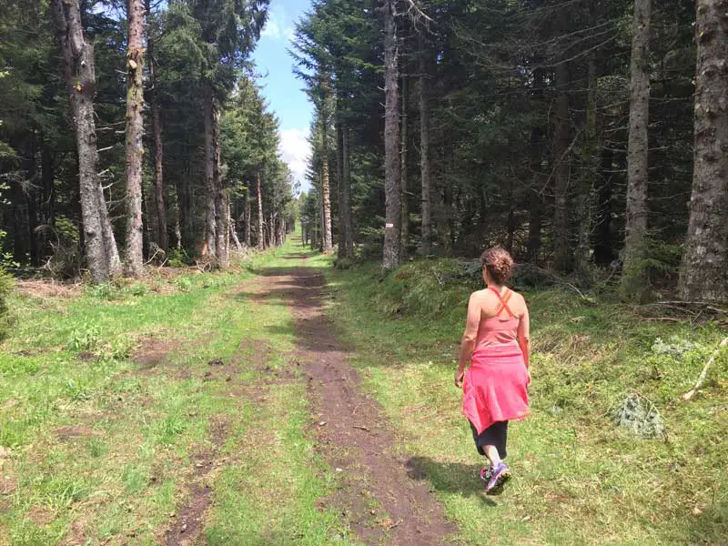 Descente du Mont Mezenc